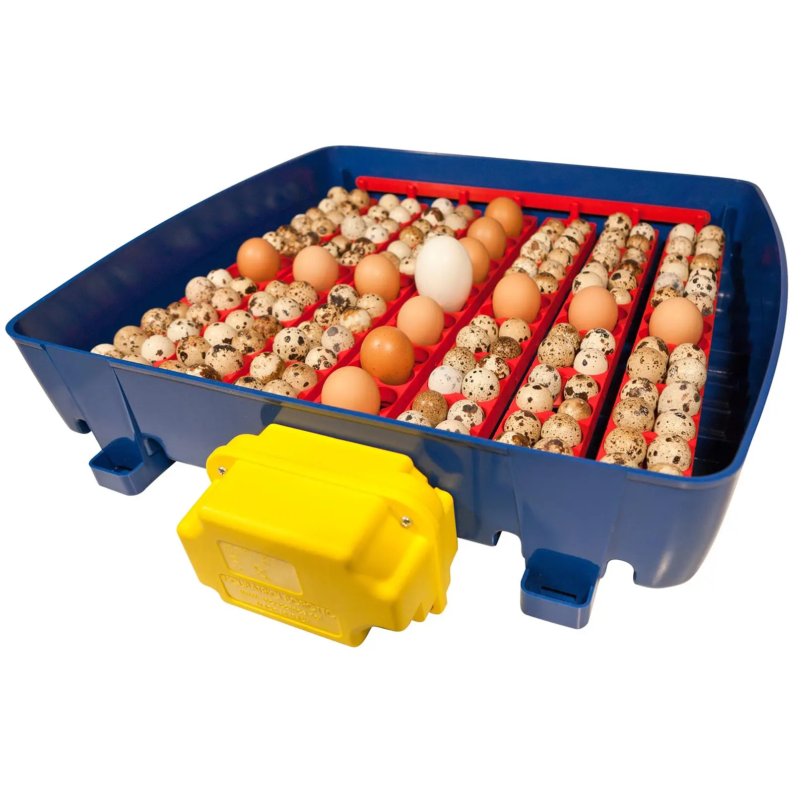 Incubator - 49 eggs - fully automatic