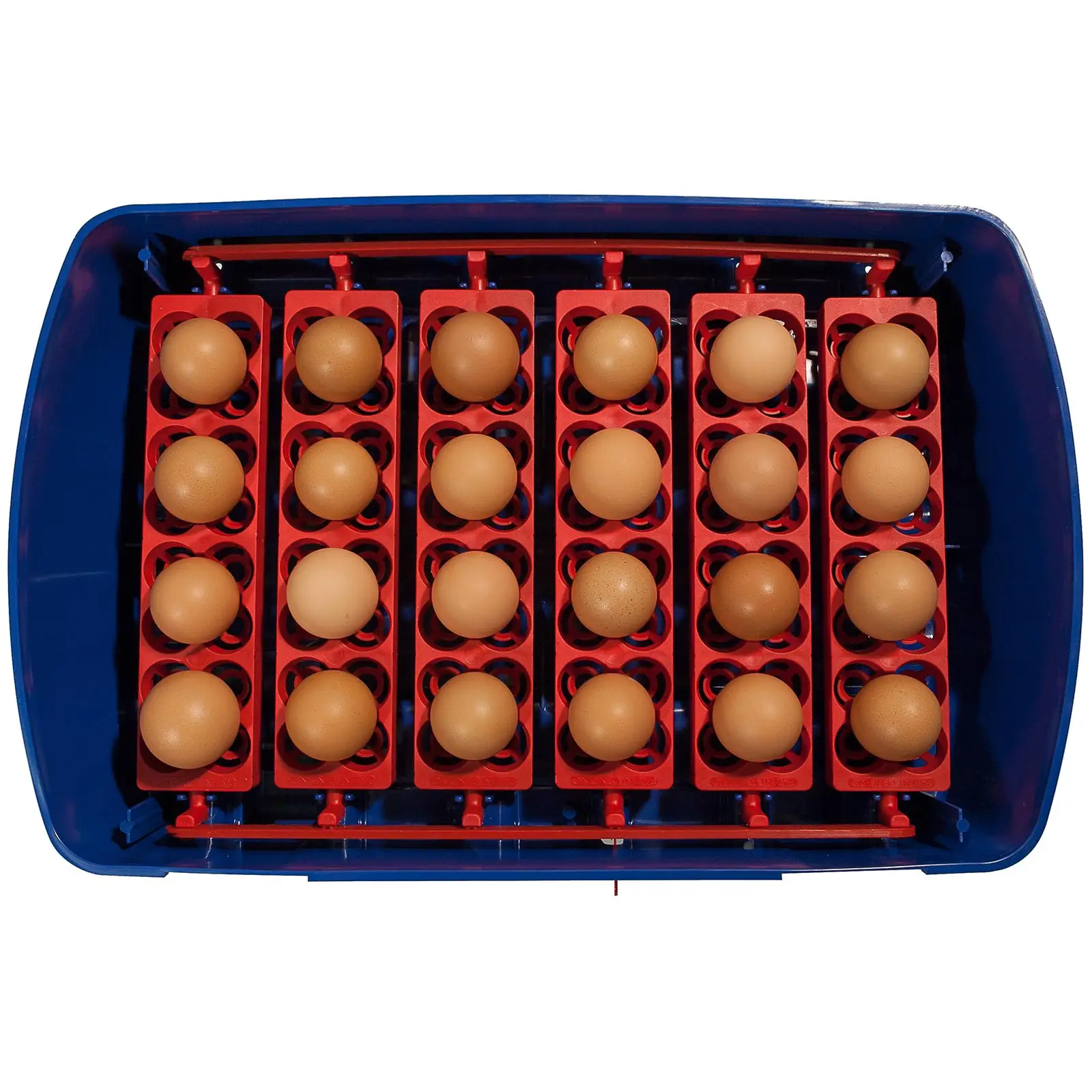 Incubator - 24 eggs - semi-automatic