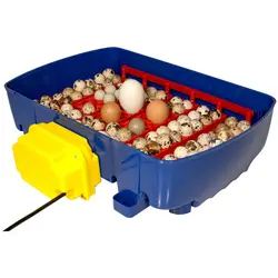 Incubator - 24 eggs - fully automatic