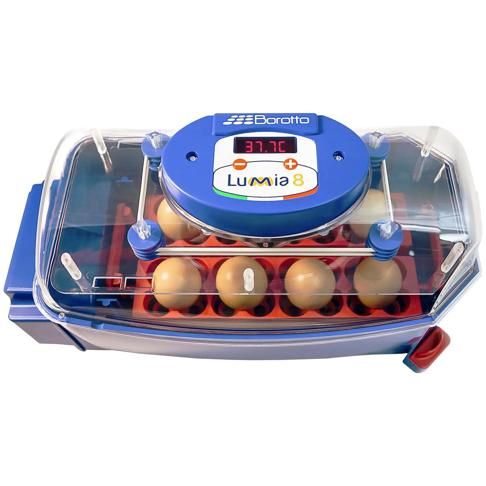 Couveuse à œufs entièrement automatique - 8 œufs - Système d'humidification - 4