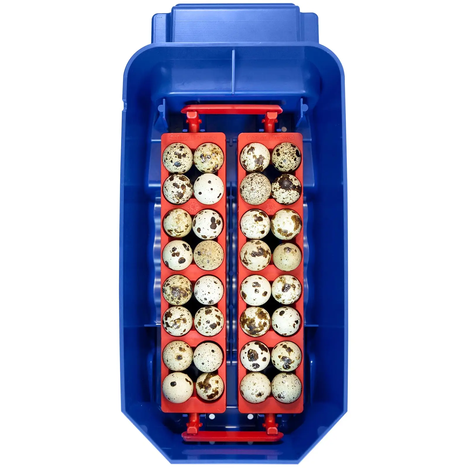 Couveuse à œufs entièrement automatique - 8 œufs (Alarmes de température et d’humidité: Non)