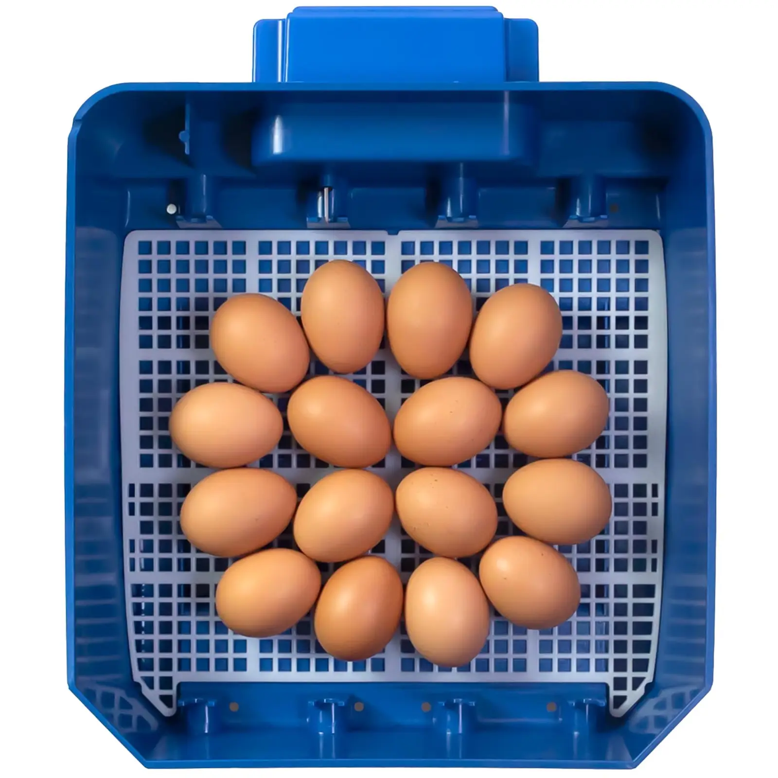 Incubator - 16 eggs - irrigation system included - fully automatic - antimicrobial Biomaster protection
