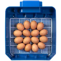 Inkubatorius - 16 kiaušiniai - drėkinimo sistema - visiškai automatinis - antimikrobinė „Biomaster“ apsauga