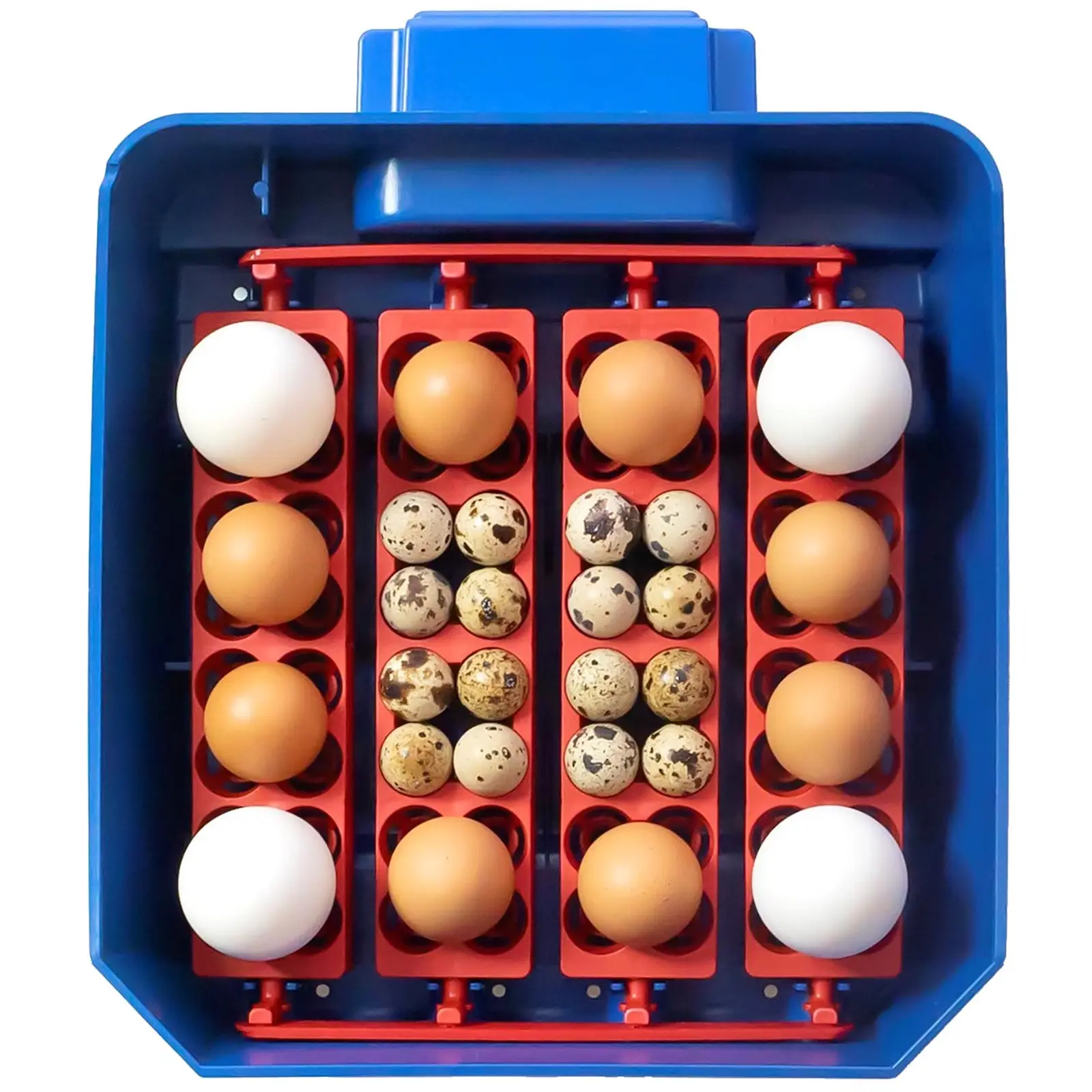Couveuse à œufs entièrement automatique - 16 œufs - Protection antimicrobienne Biomaster (Retournement automatique des œufs: Oui)