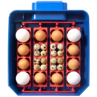 Incubator - 16 eggs - fully automatic - antimicrobial biomaster protection