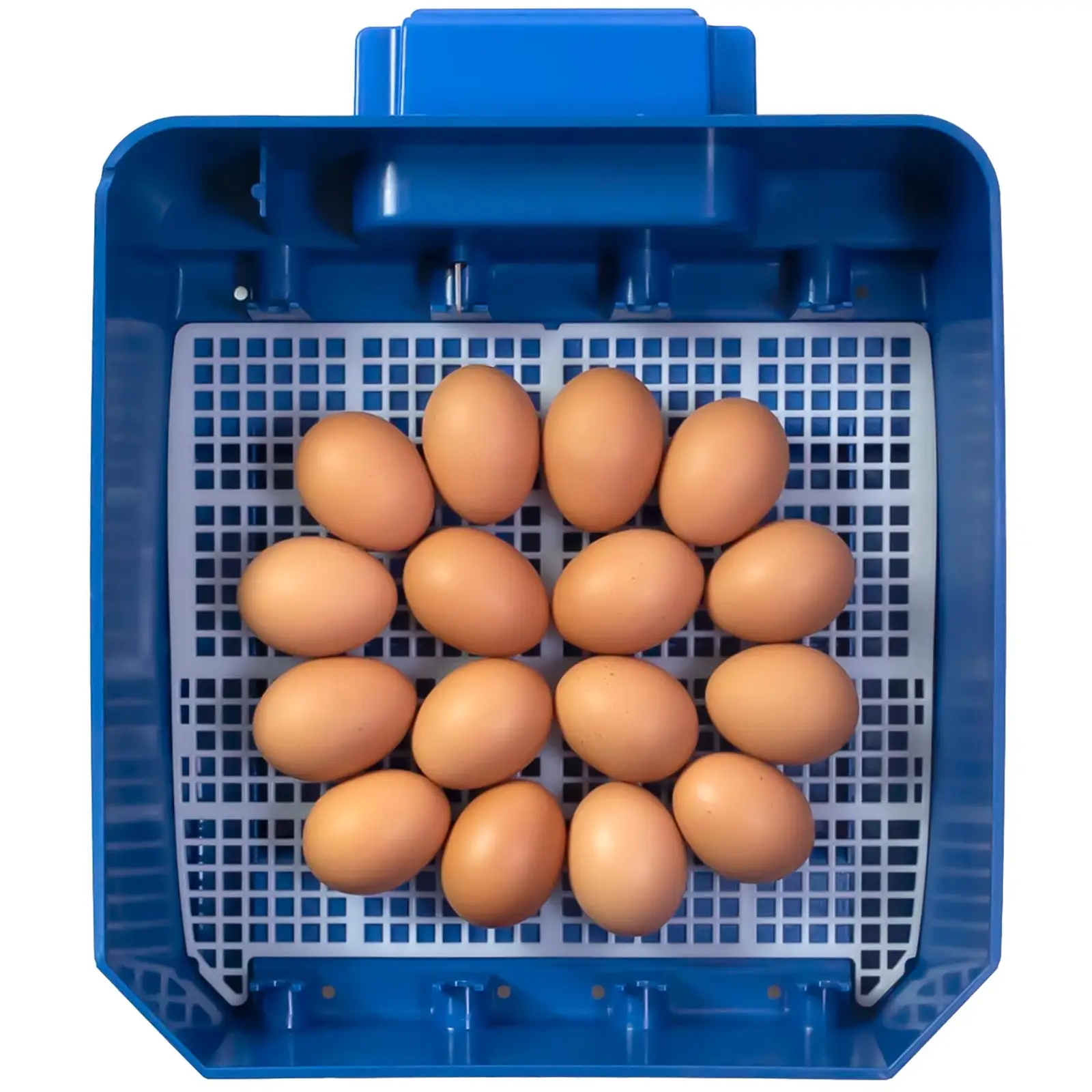 Couveuse à œufs entièrement automatique - 16 œufs - Protection antimicrobienne Biomaster (Alarmes de température et d’humidité: Non)