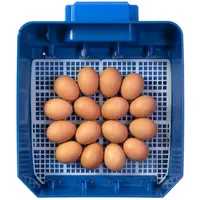 Brutapparat - 16 Eier - vollautomatisch - antimikrobieller Biomaster-Schutz